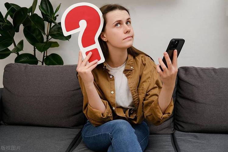 互聯(lián)網(wǎng)服務(wù)銷售 從技巧到心法的全面指南